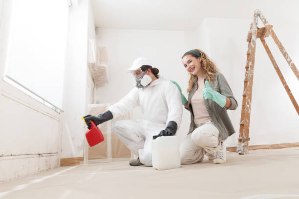 Mold Odor Removal Services in Demopolis, AL